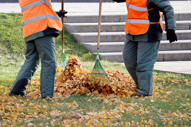 Professional Leaf Removal in Progress