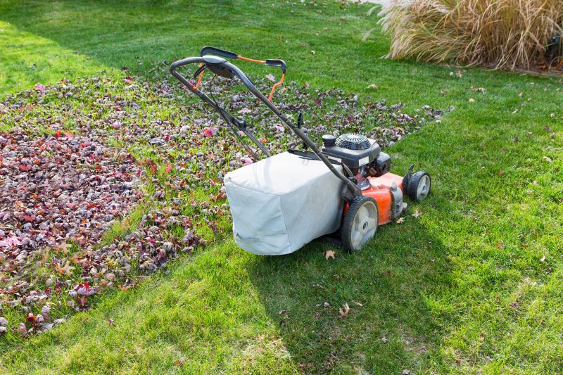 Lawn Care in Hickory