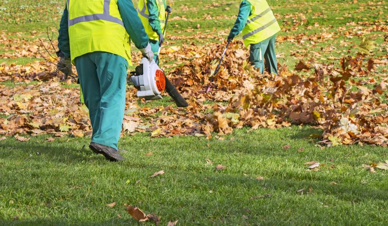 Team Clearing Leaves