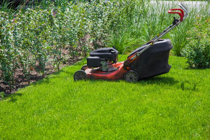Weekly Lawn Care detail