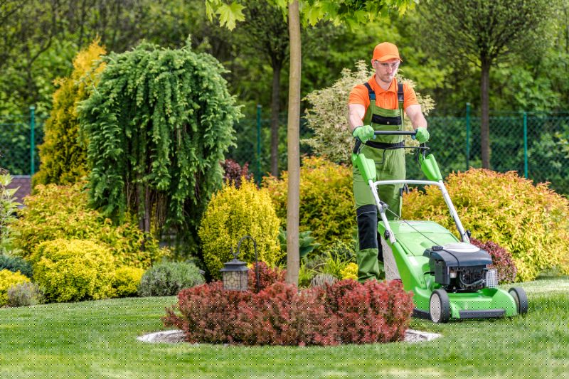 Lawn Care And Maintenance