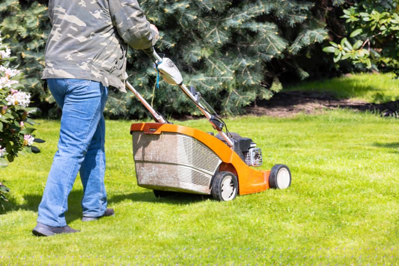 Springtime Lawn Care