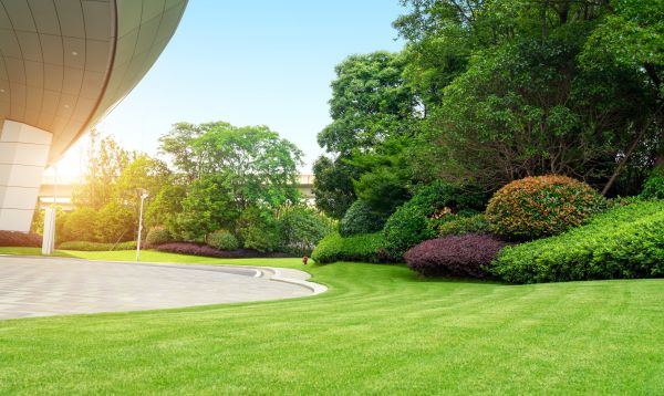 Commercial Lawn Mowing in Hickory