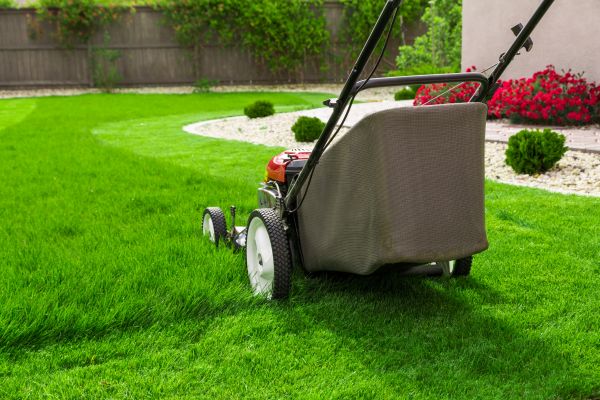 Grass Mowing in Hickory