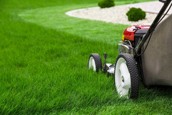 Lawn Cutting Service in Hickory