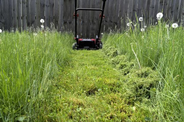 High Grass Mowing in Hickory