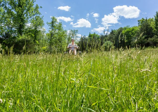 Long Grass Mowing in Hickory