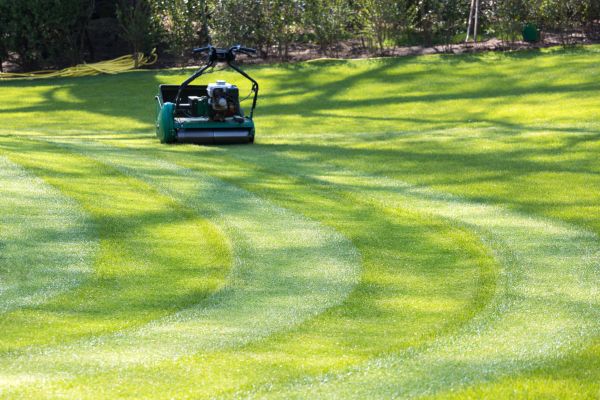 Business Lawn Mowing in Hickory
