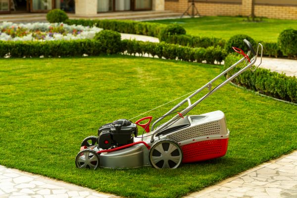 Business Grass Cutting in Hickory